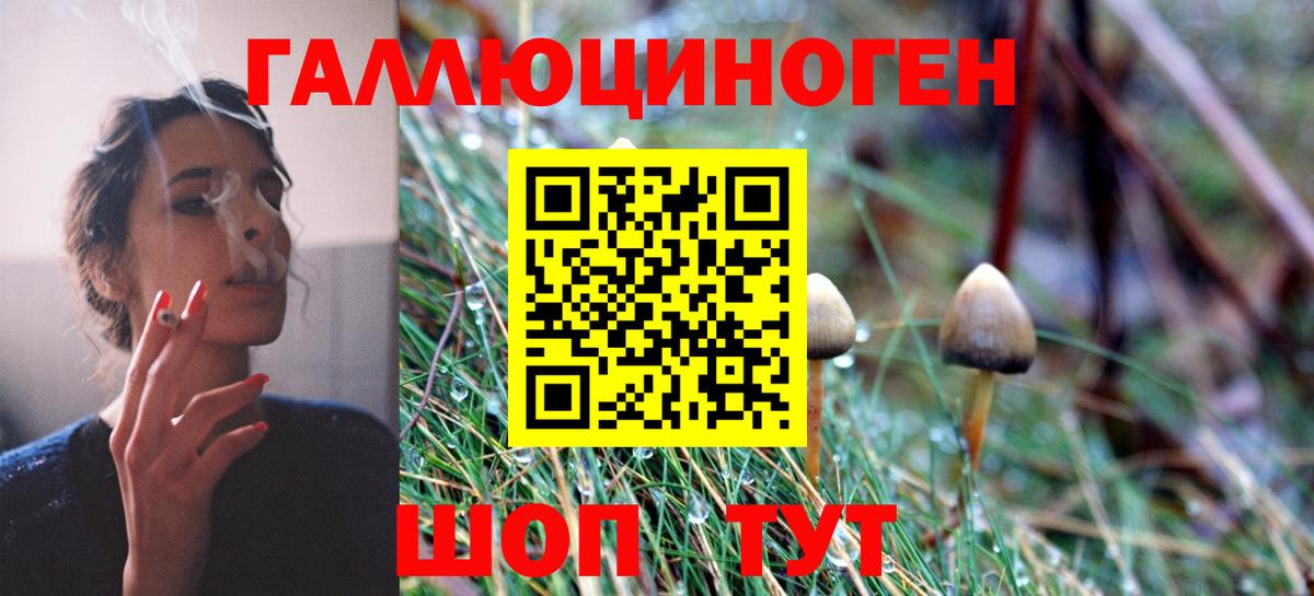 Галлюциногенные грибы Magic Shrooms  Вход с VPN  Галлюциногенные грибы Cubensis  хочу наркоту  Россия 
